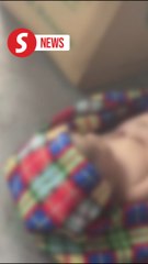 Passers-by find deceased baby in box at roadside stall