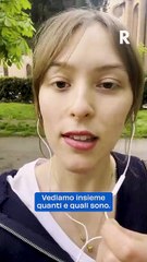 Unibo al Top in Italia: Quali Dati Supportano questa Classifica? 📊