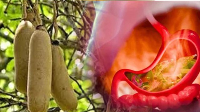 Balam Kheera Benefits: बालम खीरा खाने से क्या फायदा होता है,किस किस रोग में काम आता है |Boldsky