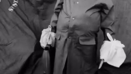 ¡Capturado! Ladrón del pañuelo en el Toro de Osborne en Tomelloso 🚨