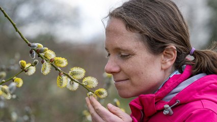 Woman missed brother's wedding over extreme hay fever