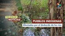 Pueblos indígenas de Bolivia han perdido sus sembradíos de alimentos por inundaciones