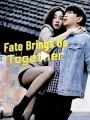 fate brings us together chinese drama