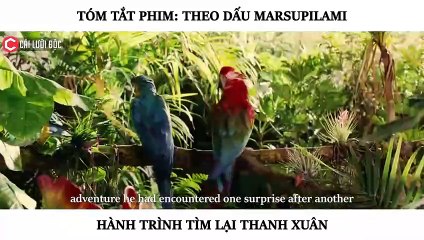 Tóm Tắt Phim - THEO DẤU MARSUPILAMI 2012 - Review Phim By Cái Lưỡi Độc P - BiliBili