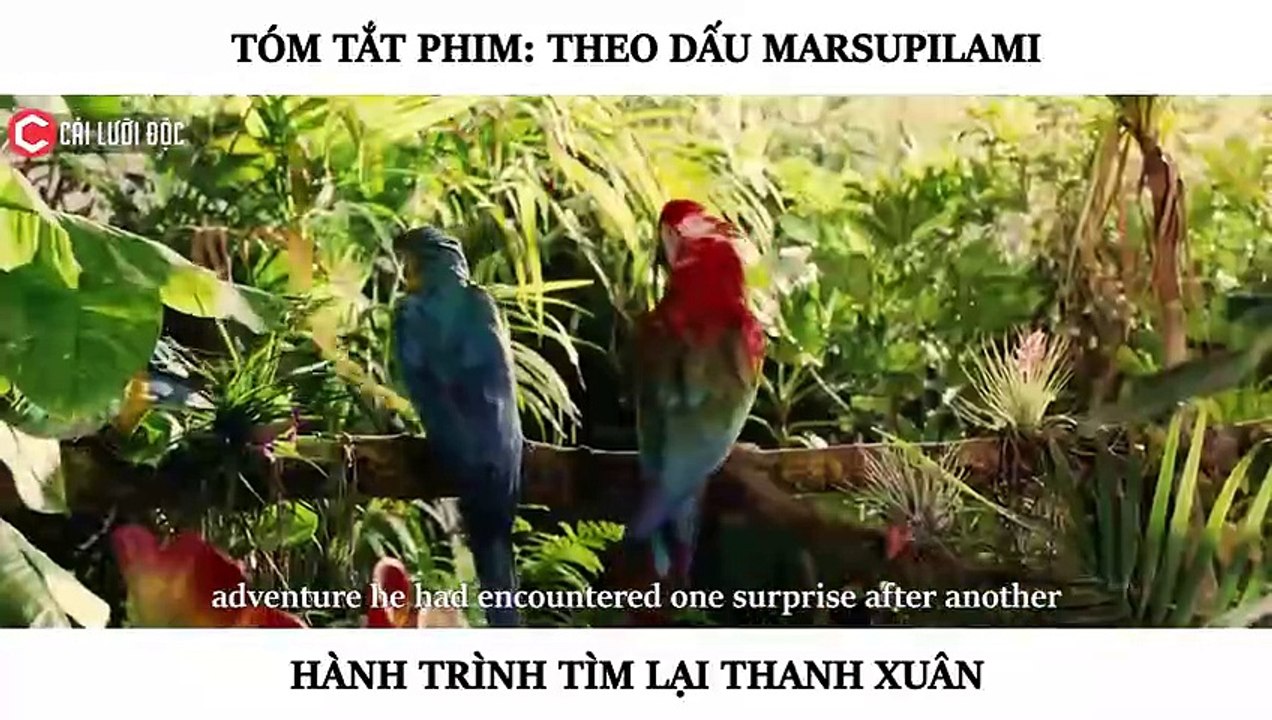 Tóm Tắt Phim - THEO DẤU MARSUPILAMI 2012 - Review Phim By Cái Lưỡi Độc P - BiliBili