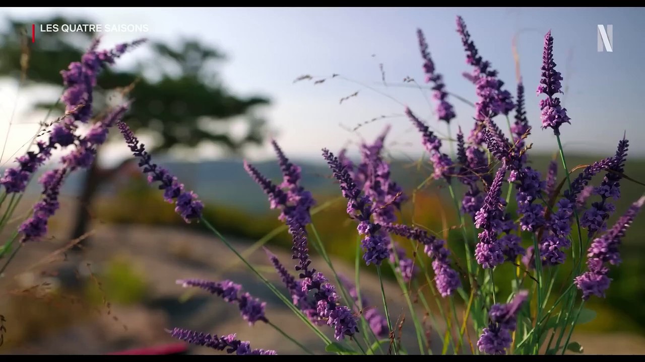 LES QUATRE SAISONS Bande Annonce VF (2025) Comédie
