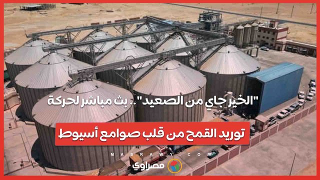 الخير جاي من الصعيد .. بث مباشر لحركة توريد القمح من قلب صوامع أسيوط
