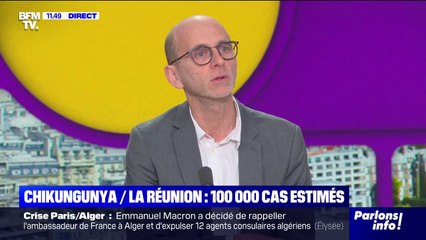 100.000 cas de chikungunya à La Réunion: quels sont les symptômes?