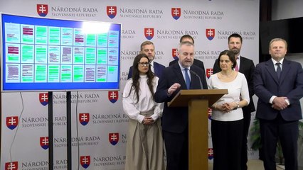 SaS žiada koaličných poslancov, aby nezahlasovali za novelu o neziskovkách