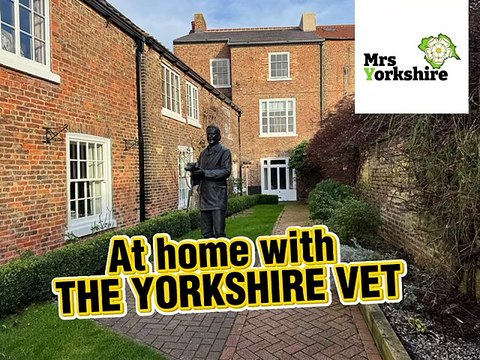The Yorkshire Vet Peter Wright: I never wanted to be on TV and now I want to give Jeremy Clarkson a run for his money