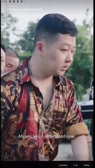 The Comeback King's Rise Full Chinese Drama