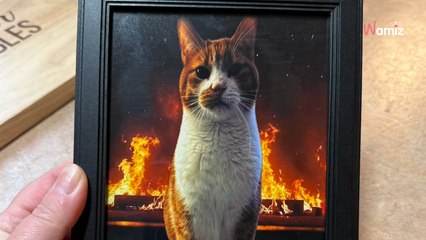 Heroic cat scratches at bedroom door to save his owners' lives