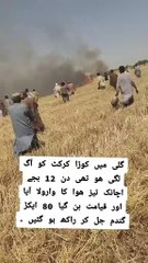 Entatanment Vedio Channel for kids Enjoy .