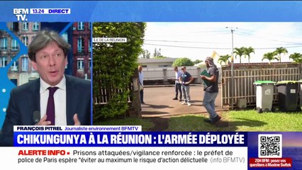 100.000 cas de chikungunya à La Réunion: comment expliquer une épidémie aussi importante?