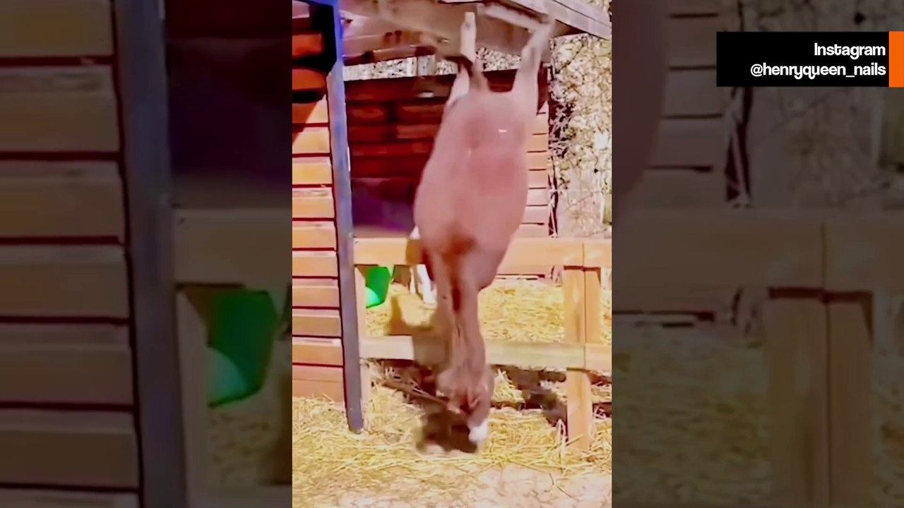 Komik Video: Güzellik salonu sahibi komik reklamlarıyla internette fenomen oldu
