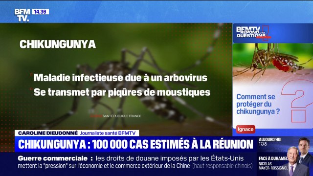 Comment se protéger du chikungunya? BFMTV répond à vos questions