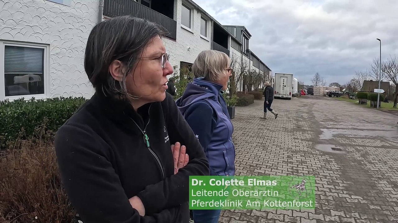 Lahmheiten beim Pferd genauer erkennen