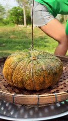 9_ How to cook pumpkin recipe #shorts #cooking #food #recipe #shortvideo