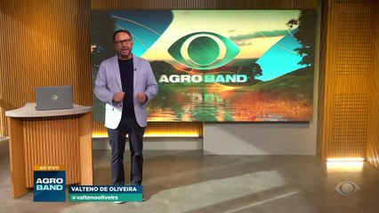 Substâncias do cacau favorecem o bom humor