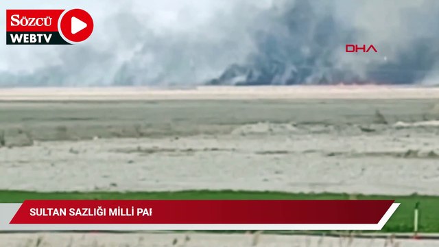 Sultan Sazlığı Milli Parkı'nda yangın