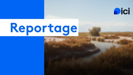 Alix GOURDAIN - Les Jardins d’Alix