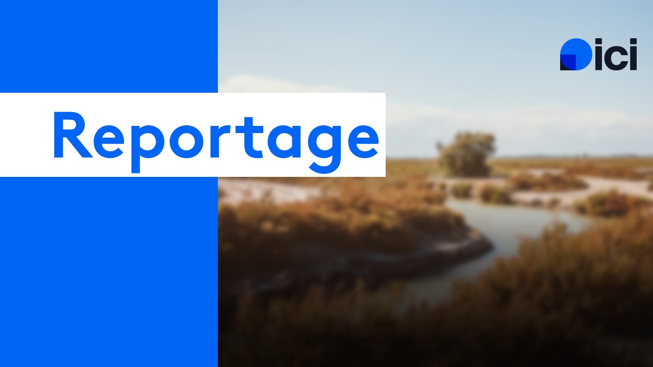 Alix GOURDAIN - Les Jardins d’Alix