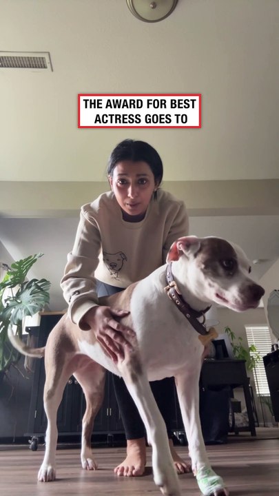 The paw lift to show the camera 📸🤳