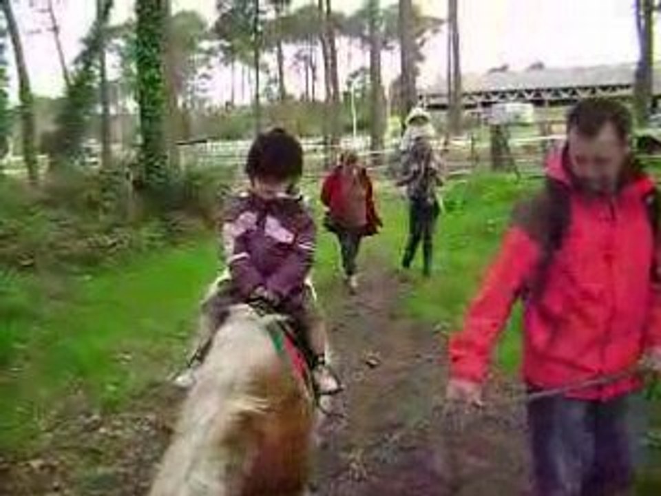 MOV02929