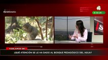 Laura Haro habla sobre la atención que se le ha dado al bosque pedagógico del agua