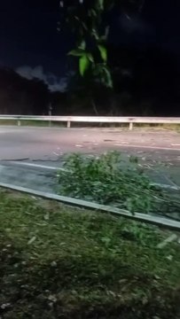 Motorista denuncia 'barricada' feita com galhos de árvore para facilitar assaltos na Via Metropolitana