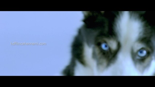 Kaos Kardeşler ve Penguen Paul ☄️☄️MACERA//KOMEDİ☄️☄️film izle((2024))