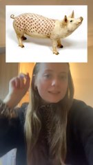 Des cochons tatoués vivants ? 🐷