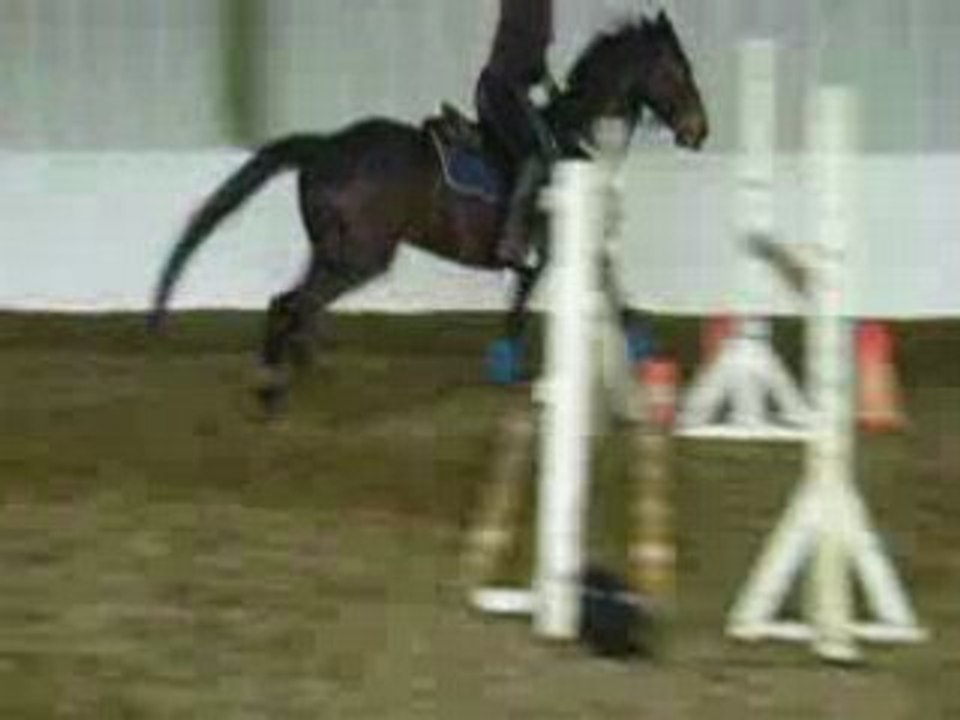 Fu 18/04 n°7