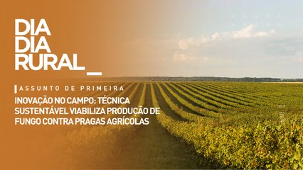 Inovação no campo: Técnica sustentável viabiliza produção de fungo contra pragas agrícolas