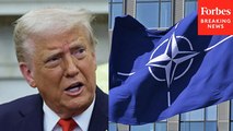 Here Are The Potential Ramifications For NATO Of Trump’s Push To Control Greenland: Expert Weighs In