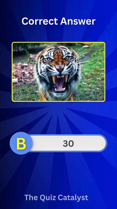 Tiger Teeth Quiz 🐅 | Can You Answer These Wild Animal Trivia Questions?