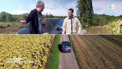 Sur Le front - Pollen bientôt tous allergiques