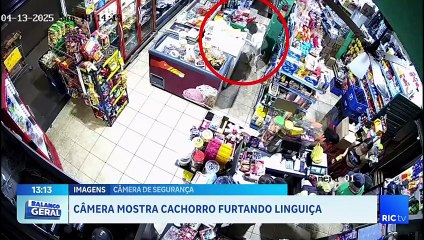 Pega ladrão Cachorro é flagrado furtando linguiça em mercado