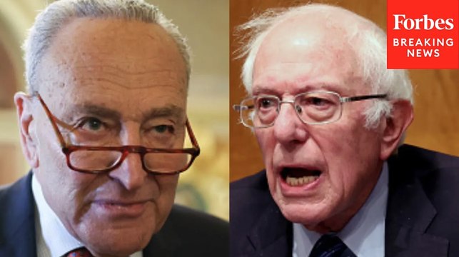 Bernie Sanders Decries Citizens United Ruling, Says Dems Are Also 'Dominated By Corporate Interests'