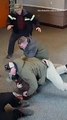 Elderly Bystander Knocked to Ground in N.H. Courthouse When Federal Agents Lunge at Immigrant in Dogpile Arrest