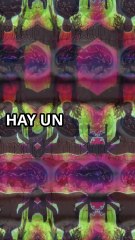 "El Portal de la Conciencia Universal: Despierta la Glándula Pineal y Conquista la Mente Divina