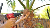 Coconut Creations : Des idées de BRICOLAGE UNIQUES que vous pouvez faire à MAISON !