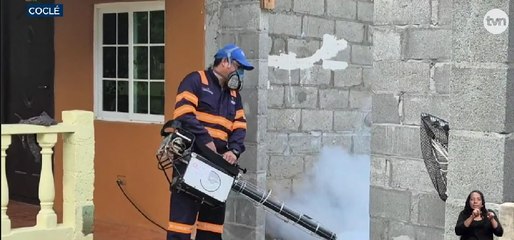 Confirman primera víctima por dengue en Coclé en lo que va de 2025