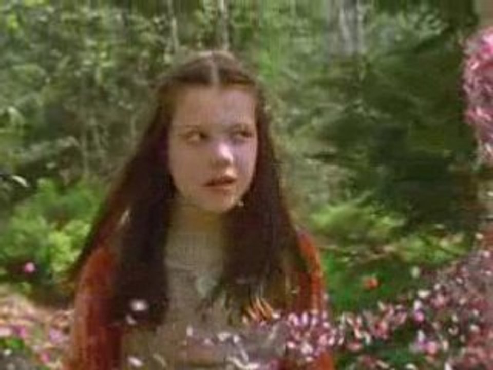 Le monde de narnia,  2  le prince caspian  le prince caspian