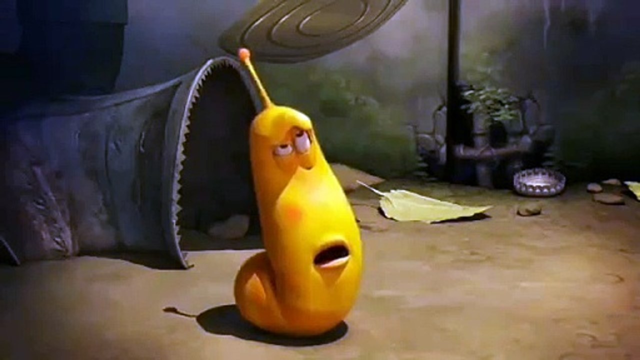 Larva