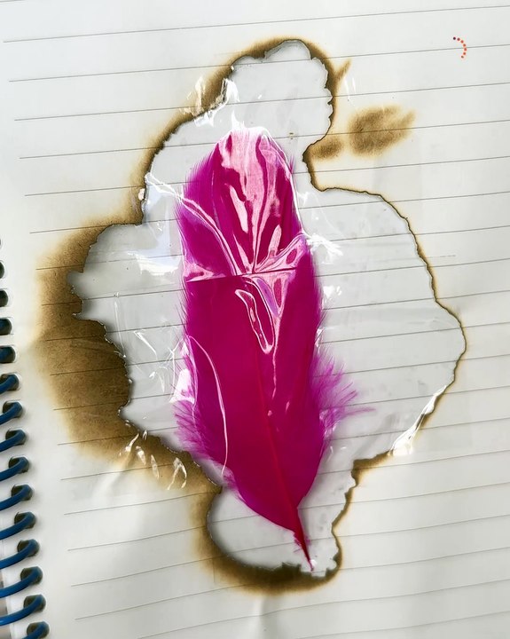 Turning a simple feather into art
