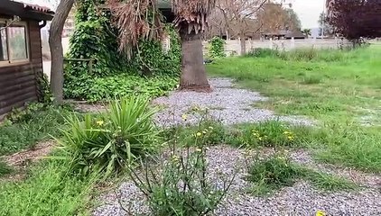 Vibo, Moderata Durant nel degrado: i "crateri" di via Spadolini e la patata bollente del parco urbano
