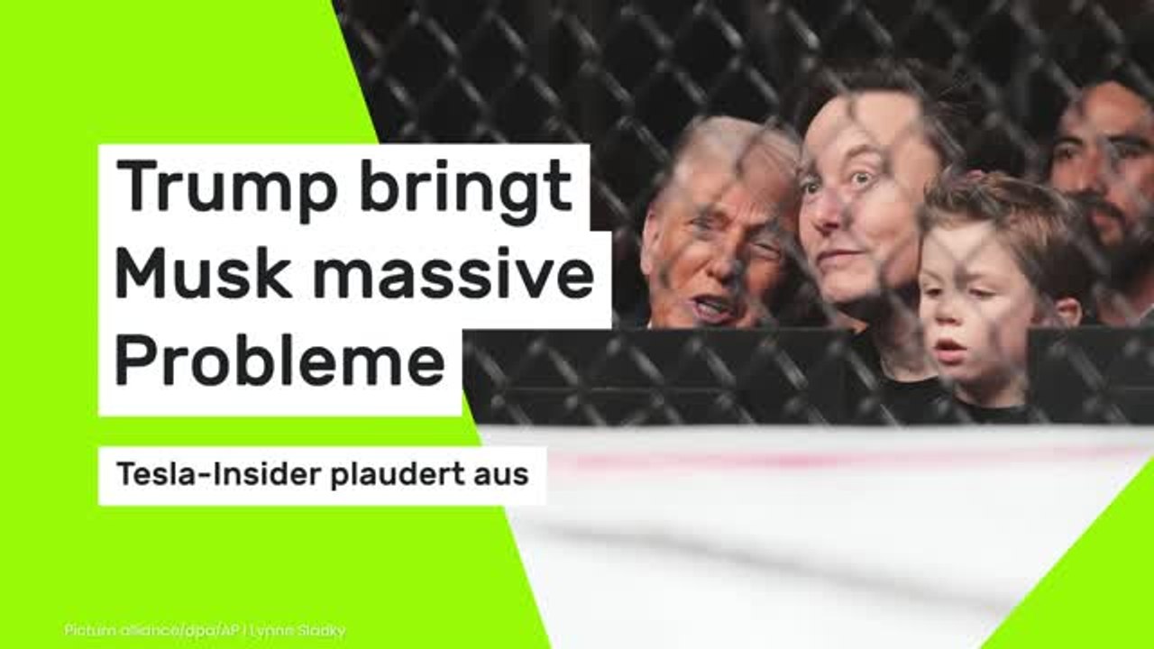 Tesla-Insider plaudert aus: Trump bringt Musk massive Probleme