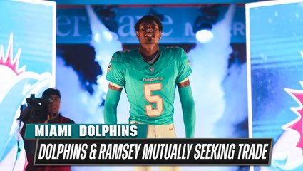 What are the Miami Dolphins actually thinking?