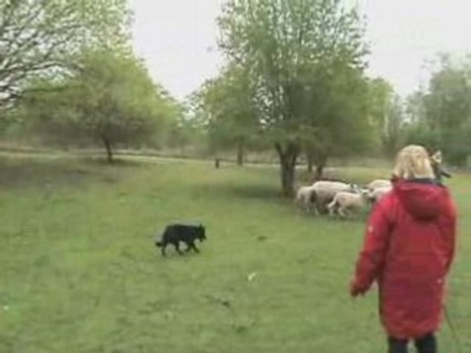 Maaïka Troupeau S3